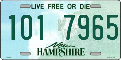 NH license plate 1017965