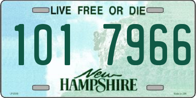 NH license plate 1017966