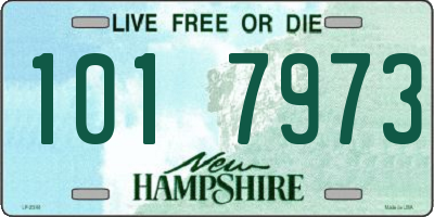 NH license plate 1017973