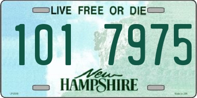 NH license plate 1017975