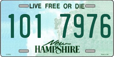 NH license plate 1017976
