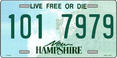 NH license plate 1017979
