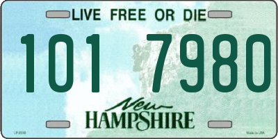 NH license plate 1017980