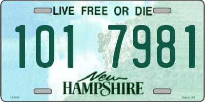 NH license plate 1017981