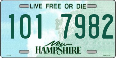NH license plate 1017982