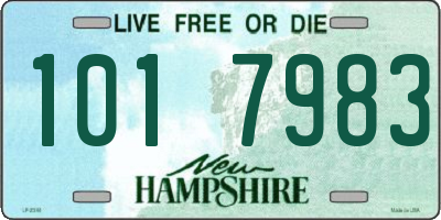 NH license plate 1017983