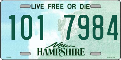 NH license plate 1017984