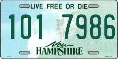 NH license plate 1017986