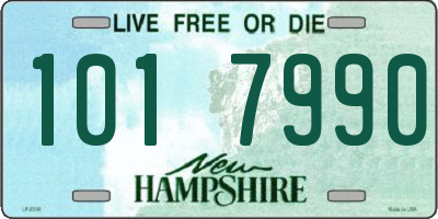 NH license plate 1017990