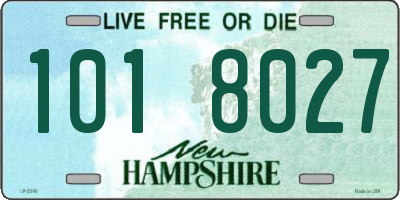 NH license plate 1018027