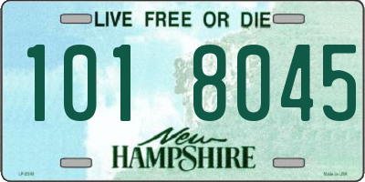 NH license plate 1018045
