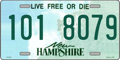 NH license plate 1018079