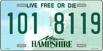 NH license plate 1018119