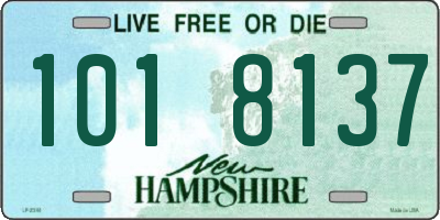 NH license plate 1018137