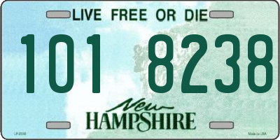 NH license plate 1018238