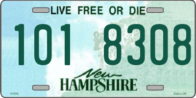 NH license plate 1018308