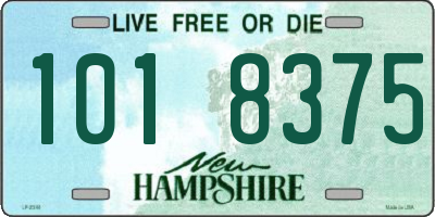 NH license plate 1018375