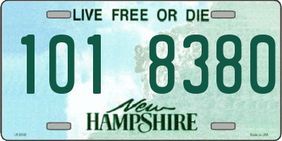 NH license plate 1018380