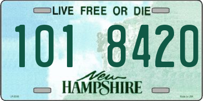 NH license plate 1018420