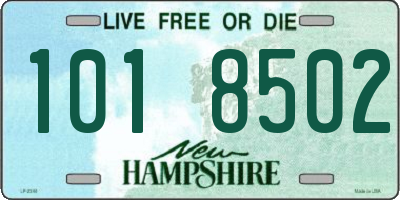 NH license plate 1018502