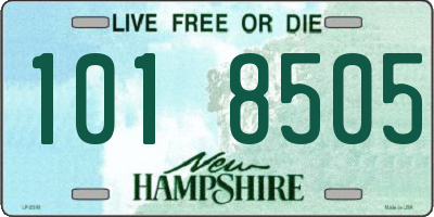 NH license plate 1018505