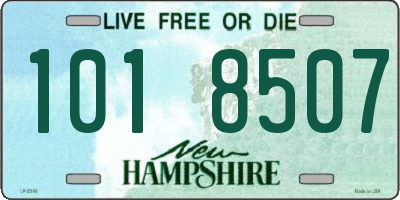 NH license plate 1018507