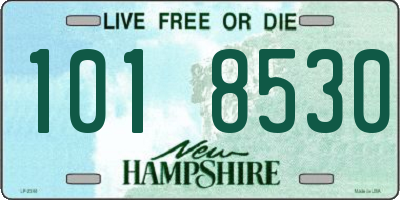 NH license plate 1018530
