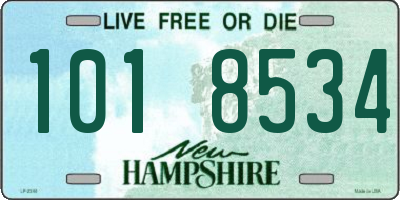 NH license plate 1018534