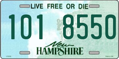 NH license plate 1018550
