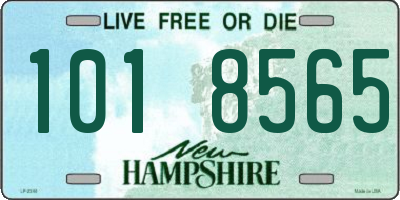 NH license plate 1018565