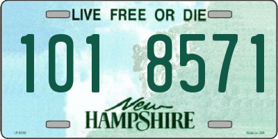 NH license plate 1018571