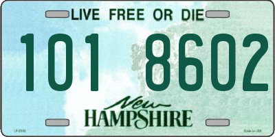 NH license plate 1018602