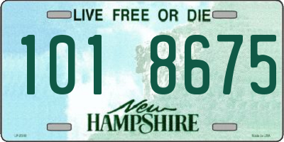 NH license plate 1018675