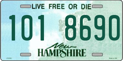 NH license plate 1018690