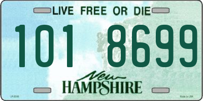 NH license plate 1018699