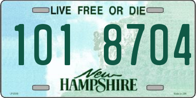 NH license plate 1018704