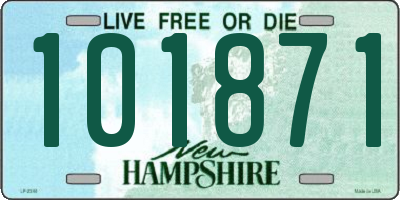 NH license plate 101871