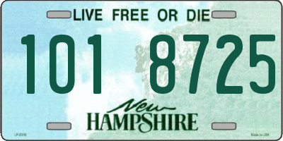 NH license plate 1018725