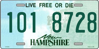 NH license plate 1018728