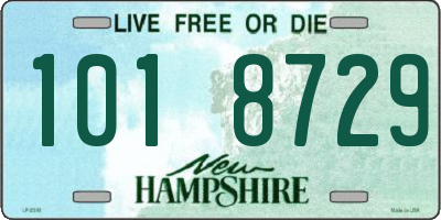NH license plate 1018729
