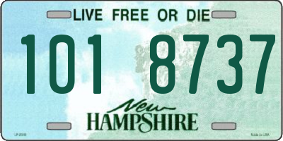 NH license plate 1018737