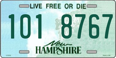NH license plate 1018767