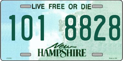 NH license plate 1018828