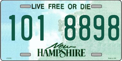 NH license plate 1018898