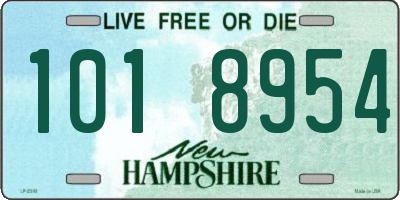 NH license plate 1018954