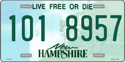 NH license plate 1018957