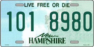 NH license plate 1018980
