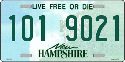NH license plate 1019021