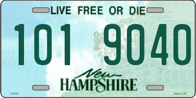 NH license plate 1019040