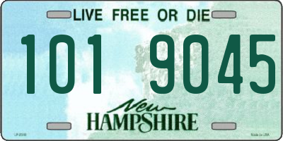 NH license plate 1019045